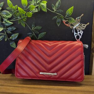 Cartera Aldo