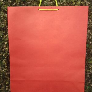 Bolsas de regalo varios