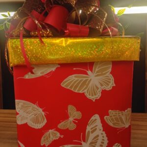 caja regalo