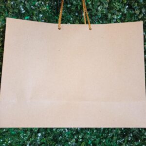 Bolsas de regalo varias