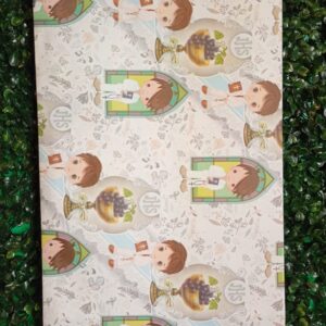 bolsa de reglo varias