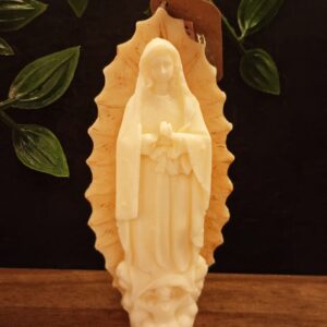 Virgen guadalupe
