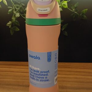 Termo Owala salmon