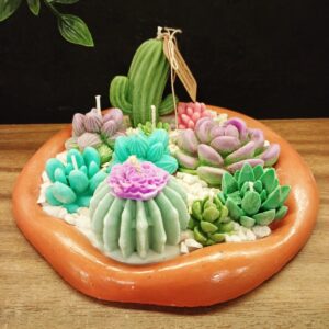 terrario circular