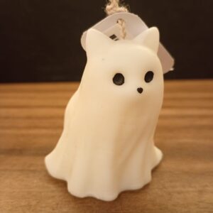 Gato fantasma