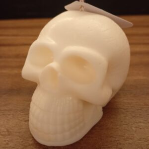 Craneo calavera
